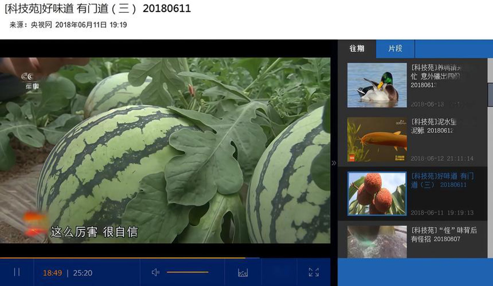 苑鑫之网络科技